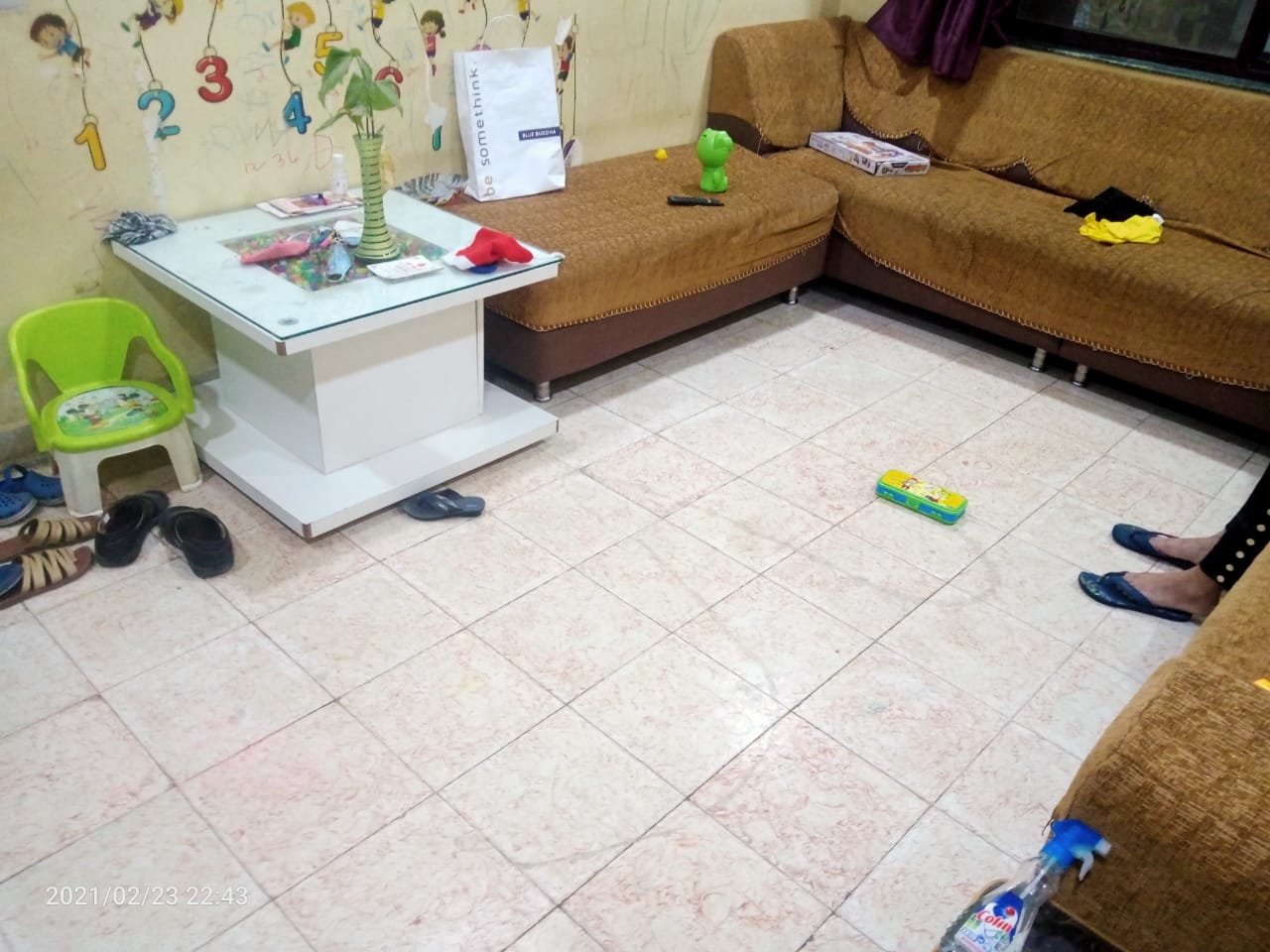 2 bhk fully furnished flat near Pashupatinath Temple